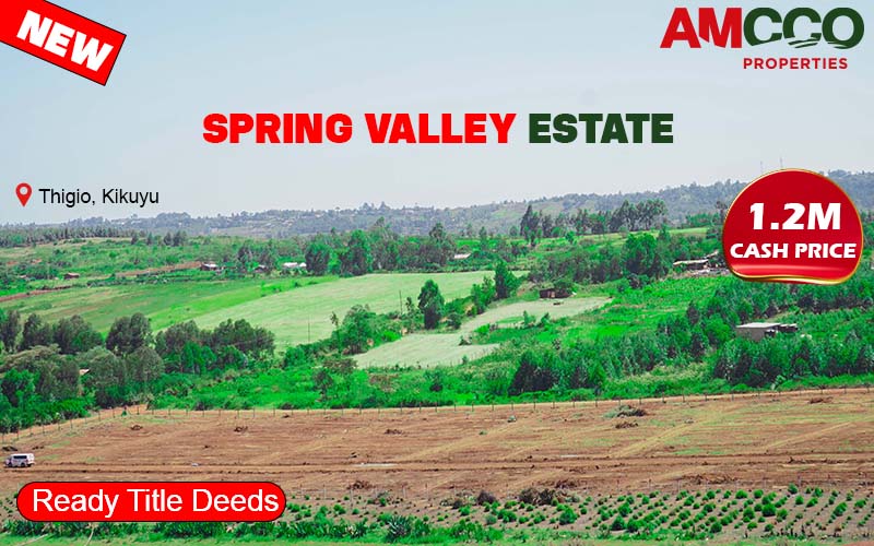 SPRING VALLEY ESTATE